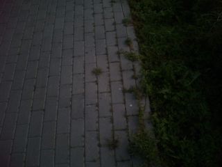 Taką drogą idziemy do Swarzewa